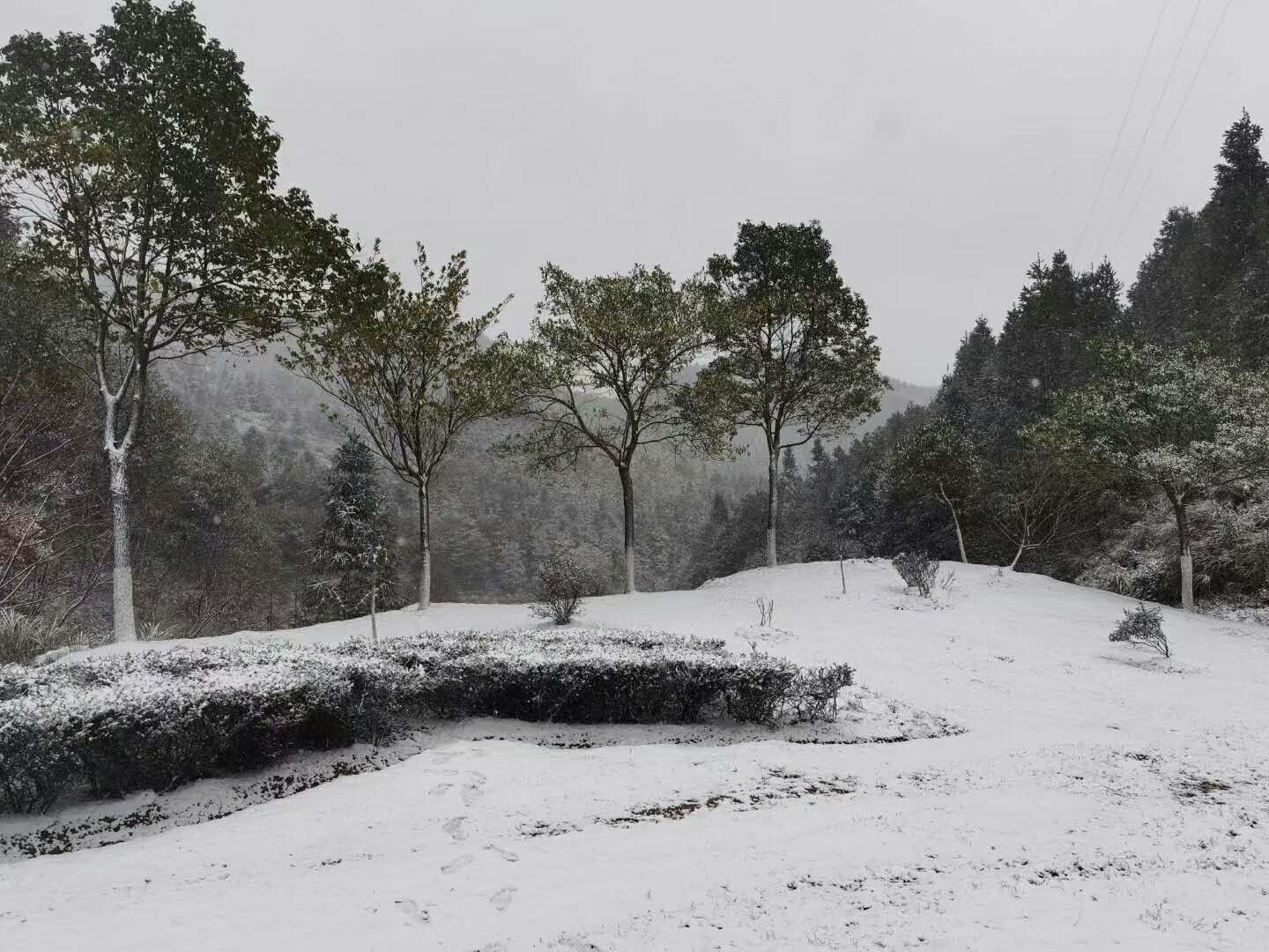 下雪啦！2021光泽第一场雪如期而至！
